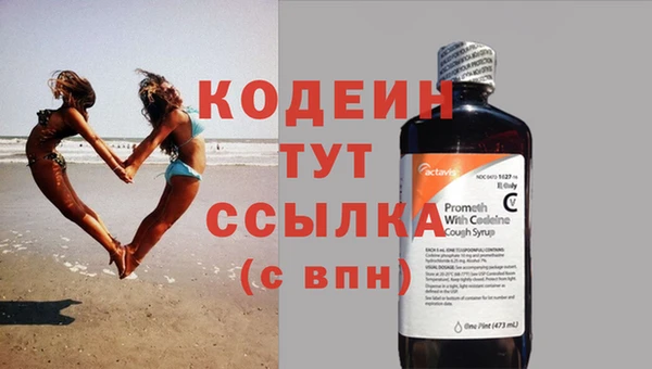спайс Няндома