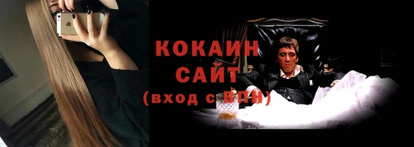 спайс Няндома
