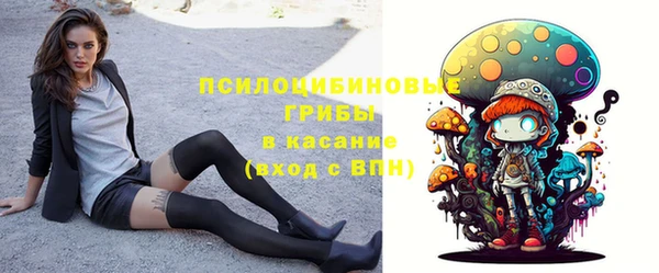спайс Няндома