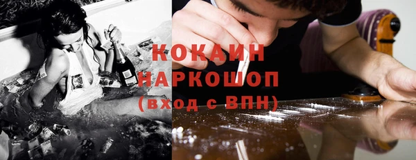 спайс Няндома
